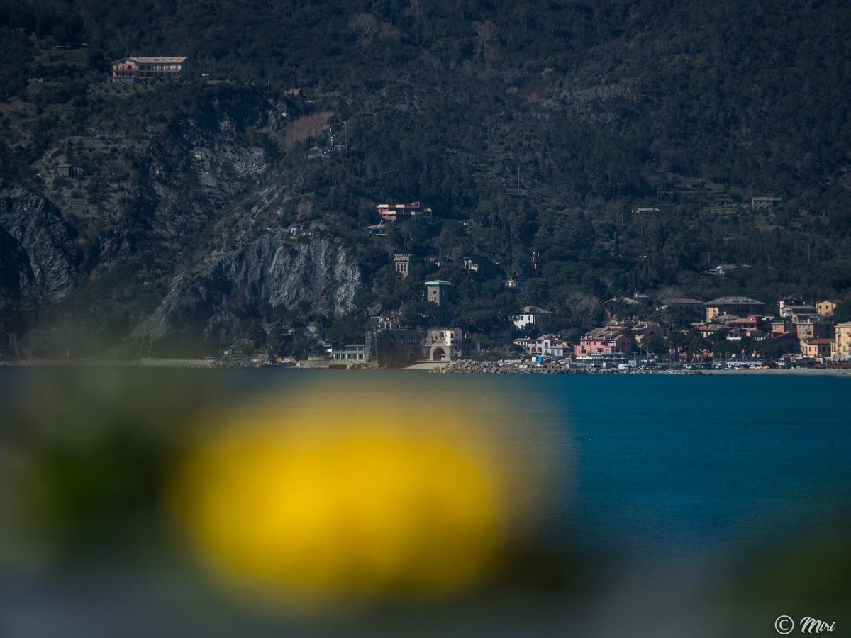 La Torretta Dei Merli With Views